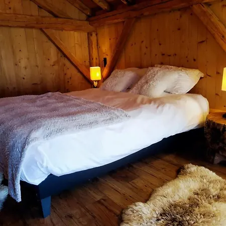 Les Chalets De Ludran Viuz-en-Sallaz Exterior foto
