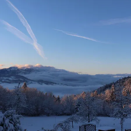Les Chalets De Ludran Viuz-en-Sallaz Exterior foto